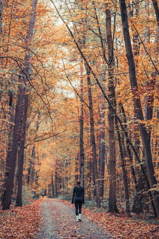 The Benefits of Regular Walking for Physical and Mental Well-being
