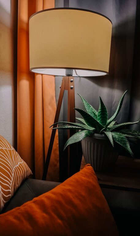 Tips for Creating a Cozy and Inviting Living Room on a Budget